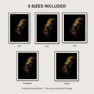 Lion Wall Art print size chart - 5 ratios included: 2:3, 3:4, 4:5, 11x14, ISO A