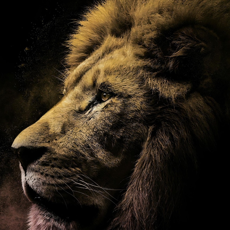 Close-up detail of Lion Wall Art art print
