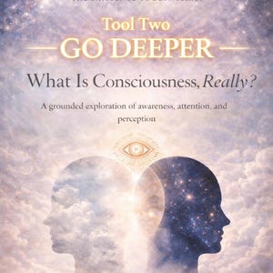 Puede incluir: Portada de libro con el título "GO DEEPER" y la pregunta "What Is Consciousness, Really?" La portada presenta dos cabezas silueteadas, una llena de nubes y la otra de estrellas, y el nombre del autor, Shelby Piasecki.