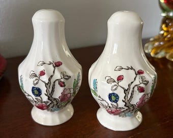 Rare Vintage Myott Indian Tree Salt & Pepper Shakers Staffordshire Made in England