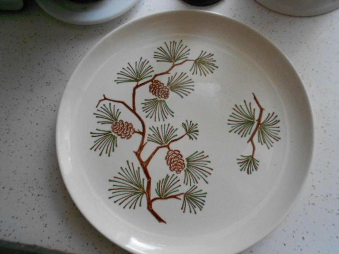 Set of 2 Vintage Pottery Pine Cone Dinner Plates Ovenproof Etsy