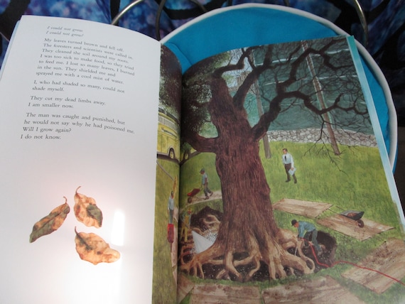 洋書 THE HORNBEAM TREE Ted Rand絵本 1995 the Tree That Would Not Die by Ellen Levine Illustrated by