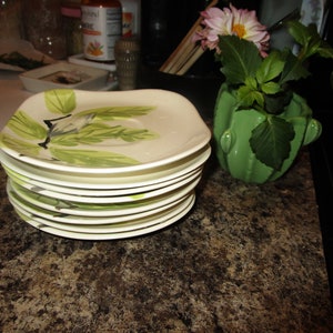 1940s Set of 8 Red Wing Saucers Magnolia