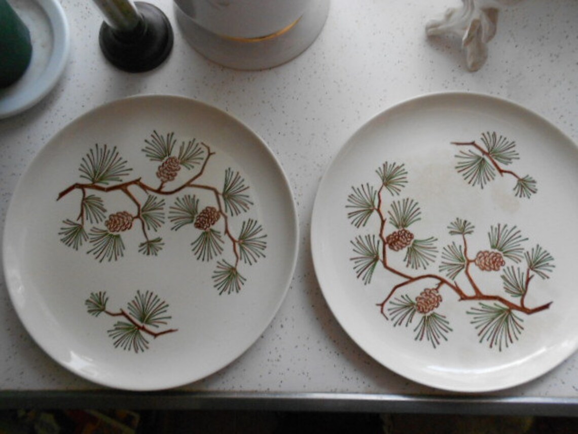 Set of 2 Vintage Pottery Pine Cone Dinner Plates Ovenproof Etsy
