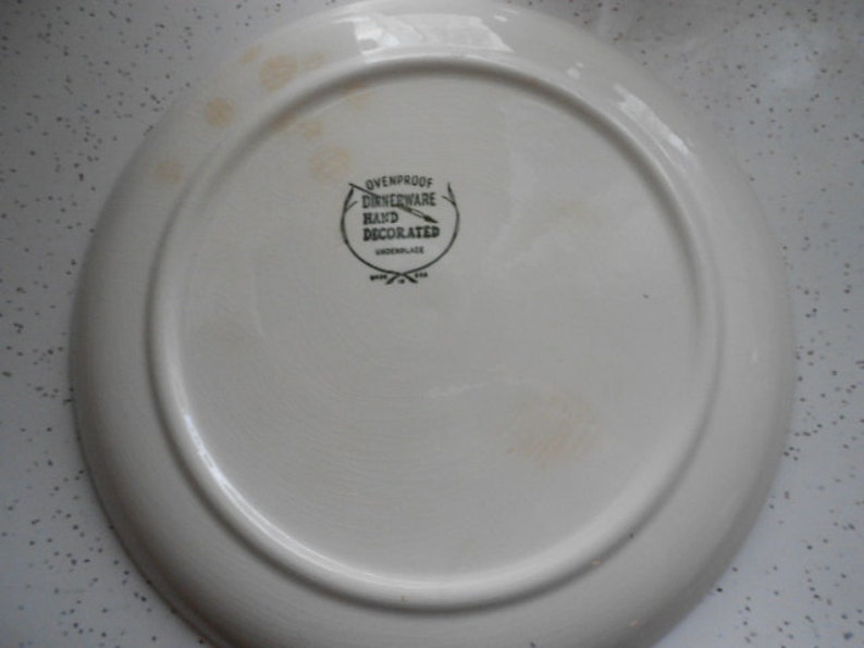 Set of 2 Vintage Pottery Pine Cone Dinner Plates Ovenproof Etsy