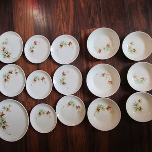 May include: A set of 15 white ceramic plates with a brown and green leaf design. The plates include dinner plates, salad plates, and bowls.