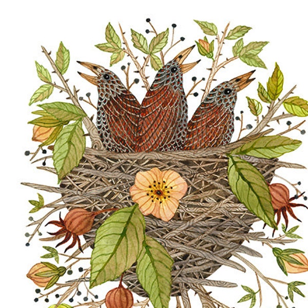 Nestlings in Rose Bramble Print