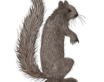 Black Squirrel Print, giclee art print, animal illustration, woodland critters, watercolour, watercolor print