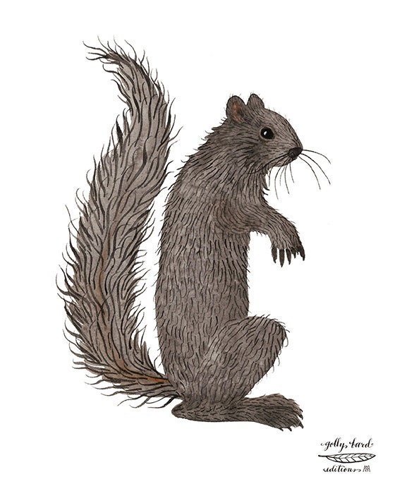 Black Squirrel Print Giclee Art Print Animal Illustration - Etsy Israel Black Squirrel Print Giclee Art Print Animal Illustration - Etsy Israel