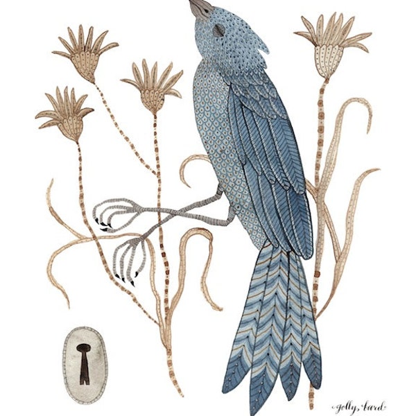 Bluebird Print, bird specimen, bird art, giclee print, watercolor, illustration