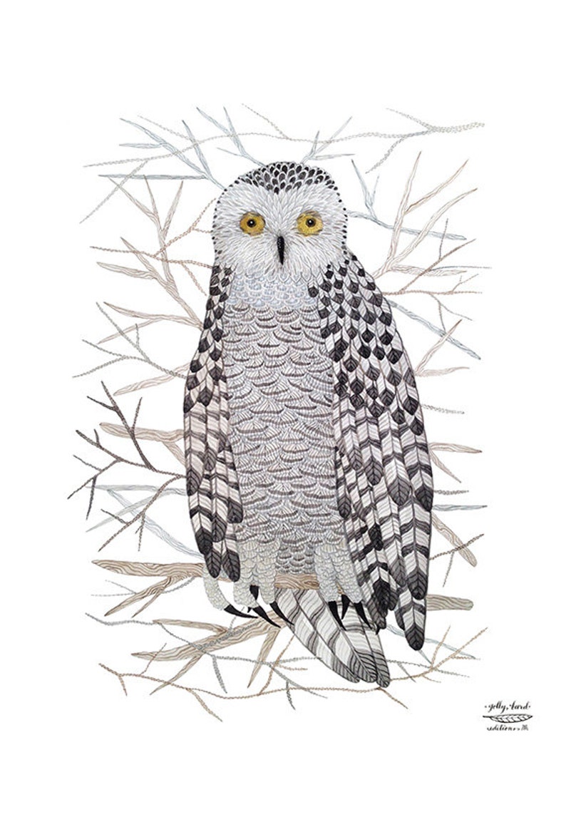LARGE Snowy Owl Print Giclee Print Woodland Watercolor Etsy