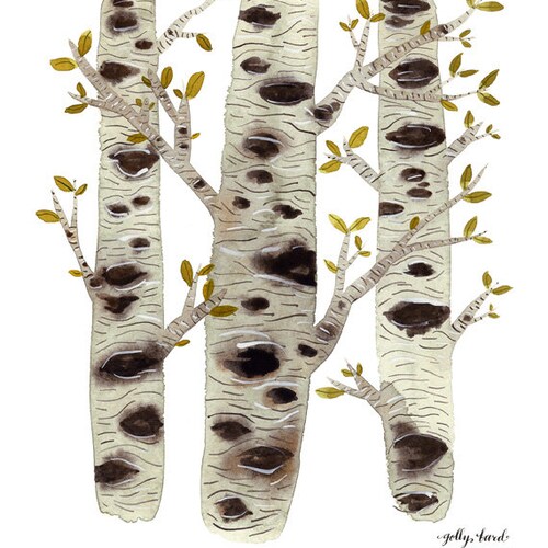 Birch Trees Print Giclee Print Woodland Decor Birch Bark - Etsy