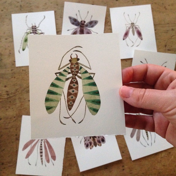 zebra fly insects miniature small watercolor painting