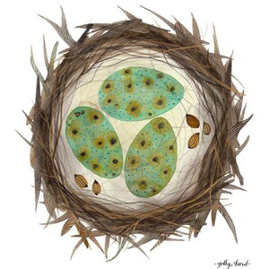 Bird Nest Print, giclee art print, bird art, birds eggs illustration, watercolor art print