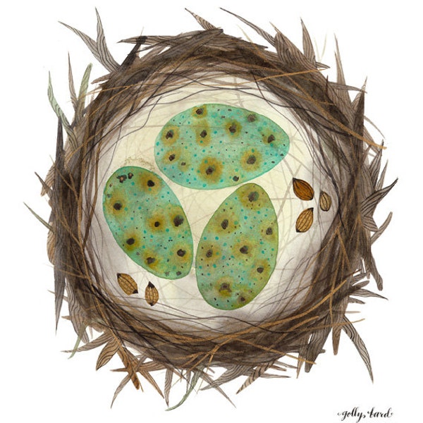 Bird Nest Print, giclee art print, bird art, birds eggs illustration, watercolor art print