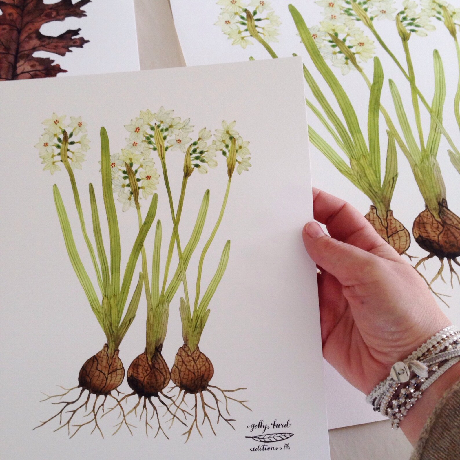 LARGE Paperwhites Print Botanicals Giclee Art Print Etsy