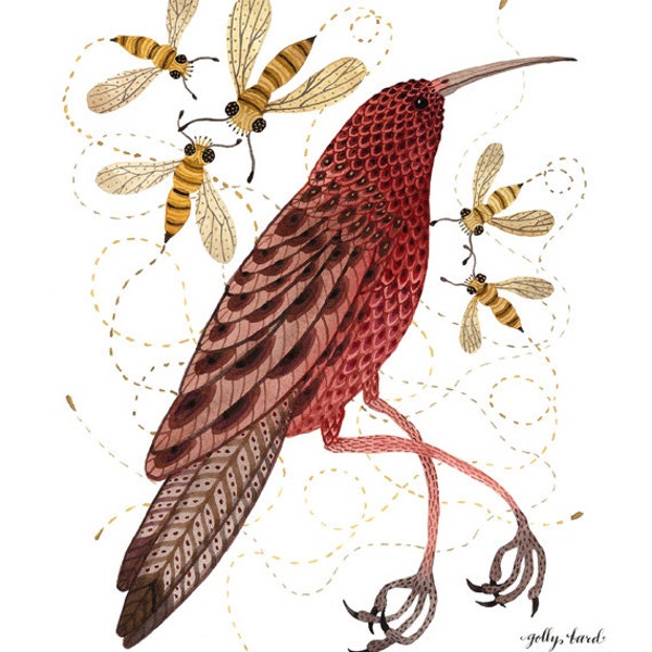 Bee Eater Print, bird art illustration, giclee art print, watercolor print, marsala wine red