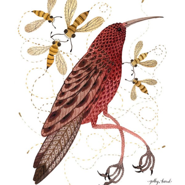 Bee Eater Print, bird art illustration, giclee art print, watercolor print, marsala wine red