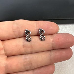 May include: A pair of silver dragon stud earrings. The dragon design is detailed and intricate.