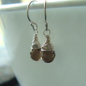 May include: A pair of silver dangle earrings with brown gemstone drops. The gemstones are faceted and have a wire wrapped around the top.