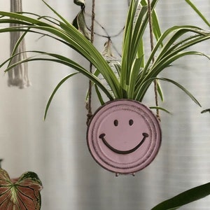 Könnte beinhalten: Ein rosafarbener Smiley-Pflanztopf mit einer grünen Spinnenpflanze, die daran hängt.