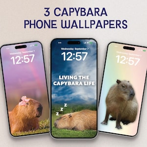 Set of 3 Fun Capybara Wallpapers | Adorable Animal Phone Backgrounds | High-Quality JPG Digital Download | Iphone and Android | Cute Animals