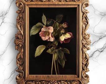 Christrose druckbare Kunst | Digitale botanische Wanddekoration | Modernes Blumen Poster | Elegant Garteninspiriert | Sofortiger Download - FLW-12
