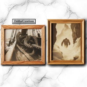 May include: Two framed vintage photographs. The first shows a large octopus wrapped around a ship's mast. The second shows a large ape-like creature walking through a snowy landscape.