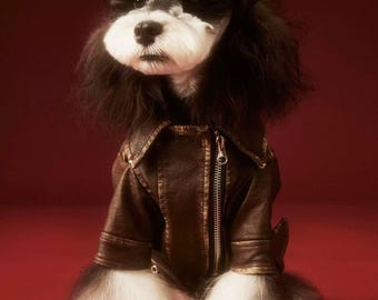 Vintage Style Faux Leather Dog Biker Jacket | Warm Brown Aviator Pet Coat | Winter Moto Vest for Small to Medium Dogs