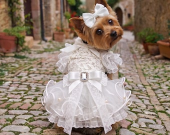 Abito da sposa per cani in pizzo bianco con volant e fiocco in raso, colletto in organza trasparente, completo da sposa per animali domestici.