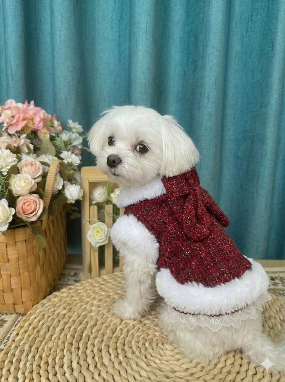 Luxury Red Tweed Dog Harness Dress | Winter Fleece Puppy Vest | Holiday Dog  Clothes | Warm Fur Trim Pet Gown
