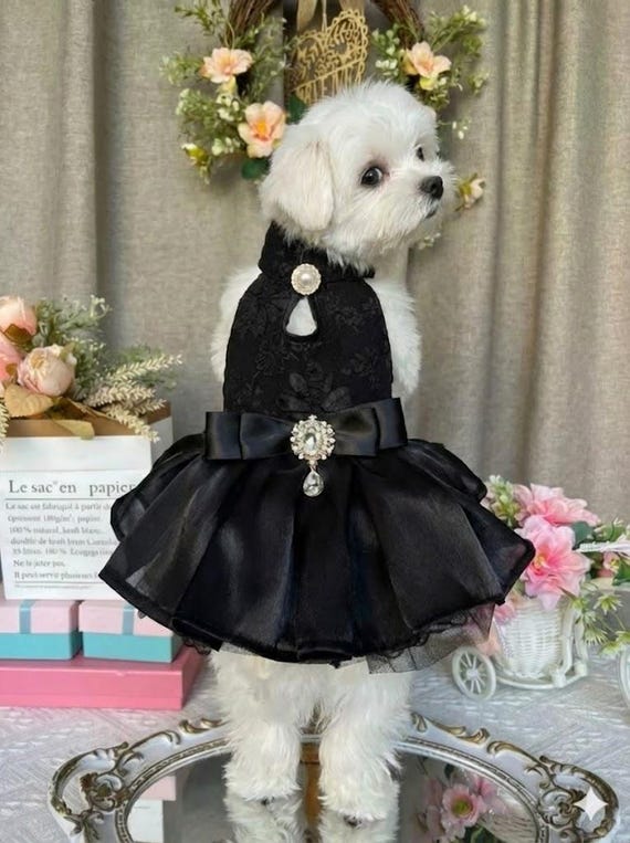 Elegant Black Dog Dress: Wedding Outfit, Princess Costume, Birthday Dress