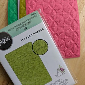 May include: A Sizzix Textured Impressions Mini embossing folder by Alexis Trimble in its original packaging, featuring a green floral pattern. Behind it are three additional rectangular embossing folders in pink, light green, and purple colors.
