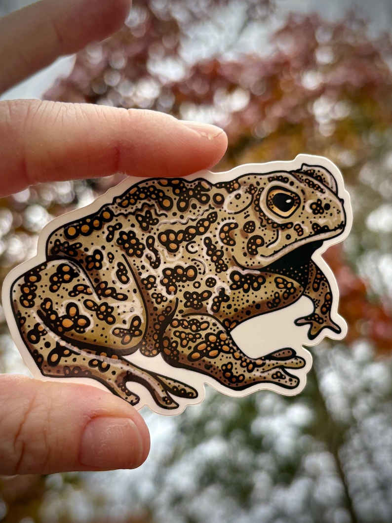 Toad Border Toad Glossy Vinyl Sticker, Neutral Colors. - Etsy