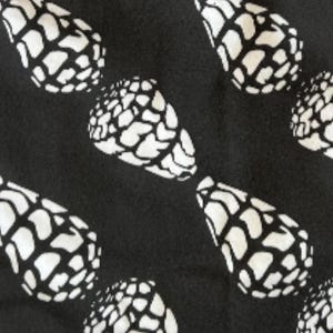 Hebrew Cone Disgonsl Shell Tube top