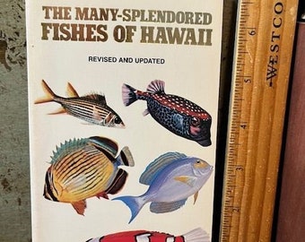 1985 The Many Splendored Fishes of Hawaii Hawaiian Gar Goodson Identification Book Vintage Pb Book