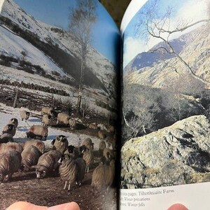 May include: A double-page spread from a book featuring a winter landscape with snow-covered mountains and a flock of sheep grazing in a field. The image captures a serene rural scene with a clear blue sky.