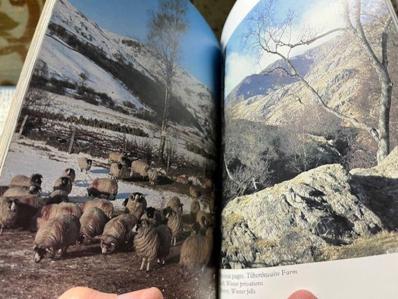 May include: A double-page spread from a book featuring a winter landscape with snow-covered mountains and a flock of sheep grazing in a field. The image captures a serene rural scene with a clear blue sky.