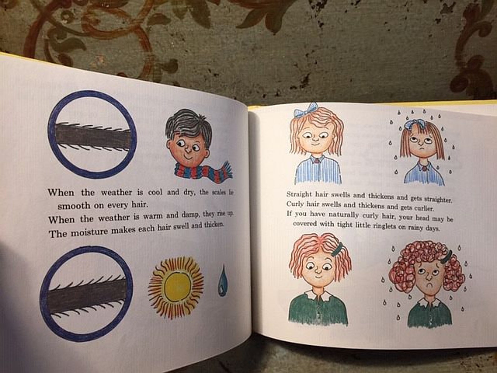 1966 Vintage Straight Hair Curly Hair Ed Emberley Illustrated Etsy