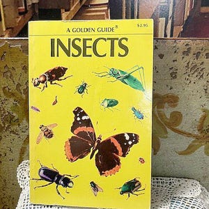 May include: A Golden Guide book titled "Insects" with a yellow cover. The cover features illustrations of various insects, including a large butterfly with brown and orange wings. The book is a guide to insects.