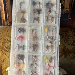 May include: A clear plastic tackle box filled with various colorful fishing flies. The flies have a variety of colors, including red, yellow, brown, and black. The box is divided into multiple compartments, each holding several flies.