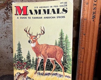 Vintage 1960 A Golden Nature Guide Mammals 218 Animals in Full Color Familiar American Species Golden Press Book PB Field Guide