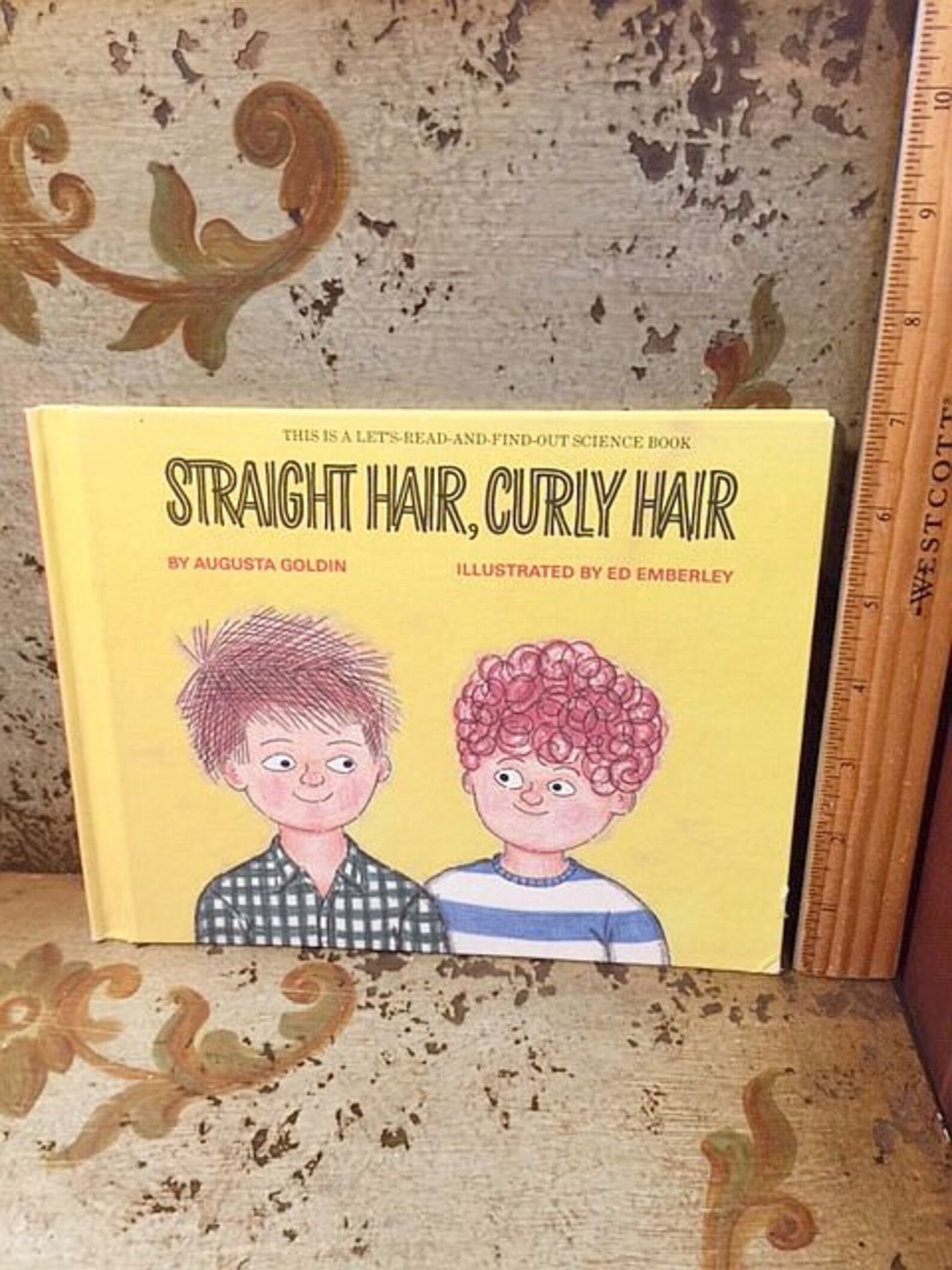 1966 Vintage Straight Hair Curly Hair Ed Emberley Illustrated Etsy