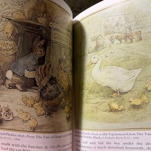 May include: An open book with illustrations from a children's story. One page shows a rabbit in a shop, the other a duck with ducklings. Text includes "The Ginger and Pickles shop" and "From The Tale of Ginger and Pickles".