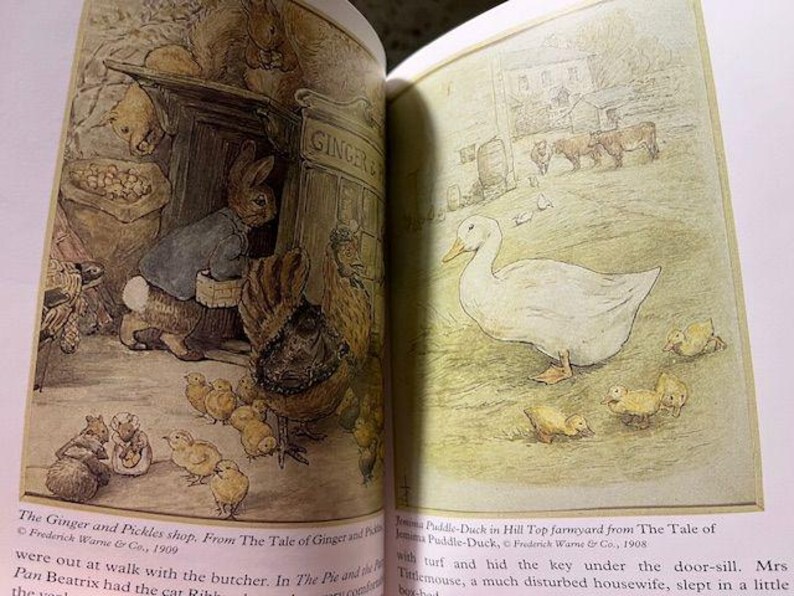 May include: An open book with illustrations from a children's story. One page shows a rabbit in a shop, the other a duck with ducklings. Text includes "The Ginger and Pickles shop" and "From The Tale of Ginger and Pickles".