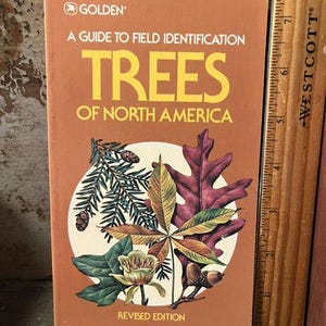 May include: A Golden A Guide to Field Identification Trees of North America Revised Edition book with a brown cover featuring illustrations of leaves, pine needles, and acorns, positioned next to a wooden ruler measuring 8 inches in length.