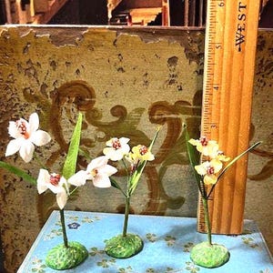 May include: Three miniature floral arrangements with white and yellow petals, green stems, and textured green bases. A wooden Westcott ruler is positioned vertically next to the flowers, showing a height of approximately 3 inches for the tallest stem.