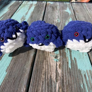 Pocket Whale