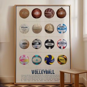 Evolution of the Volleyball Poster, Volleyball Wall Art, Beach Gift, Game Room Decor, Man Cave, Boys bedroom Summer sports beach ball
