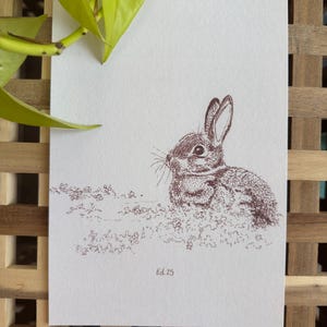 Coniglio Coniglietto Natura Schizzo Fauna Selvatica Stampa Artistica A5 - Illustrazione Disegnata a Mano Stampata su Carta Perlino Cotton 250gsm